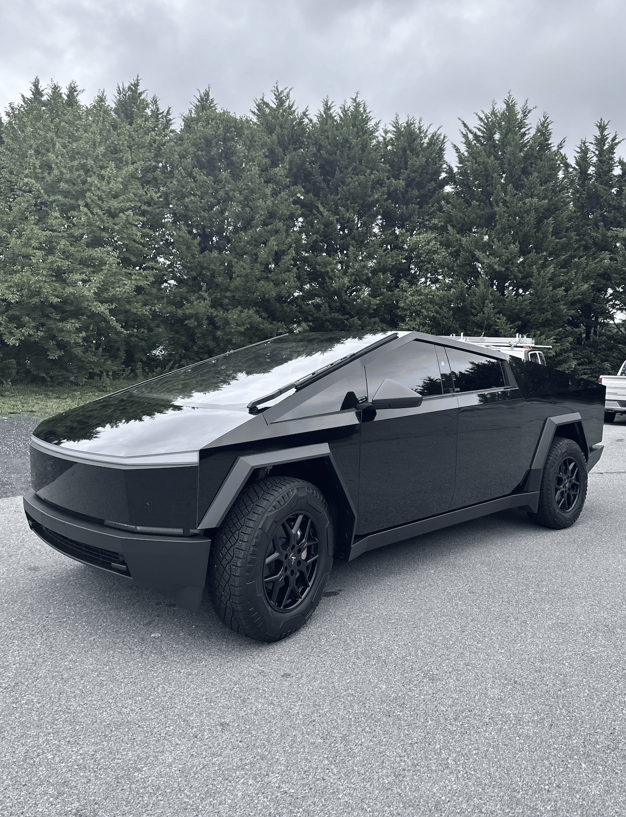 Tesla wrap Hollywood